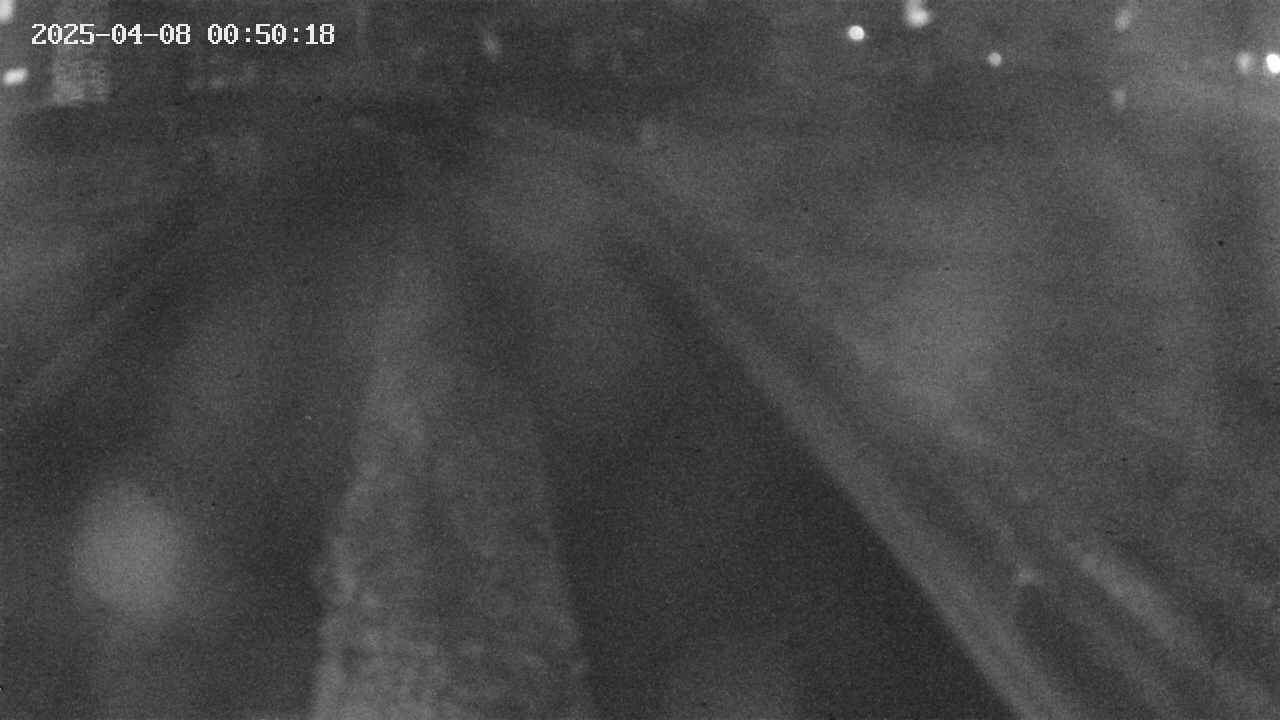 area9-20250408005020.jpg