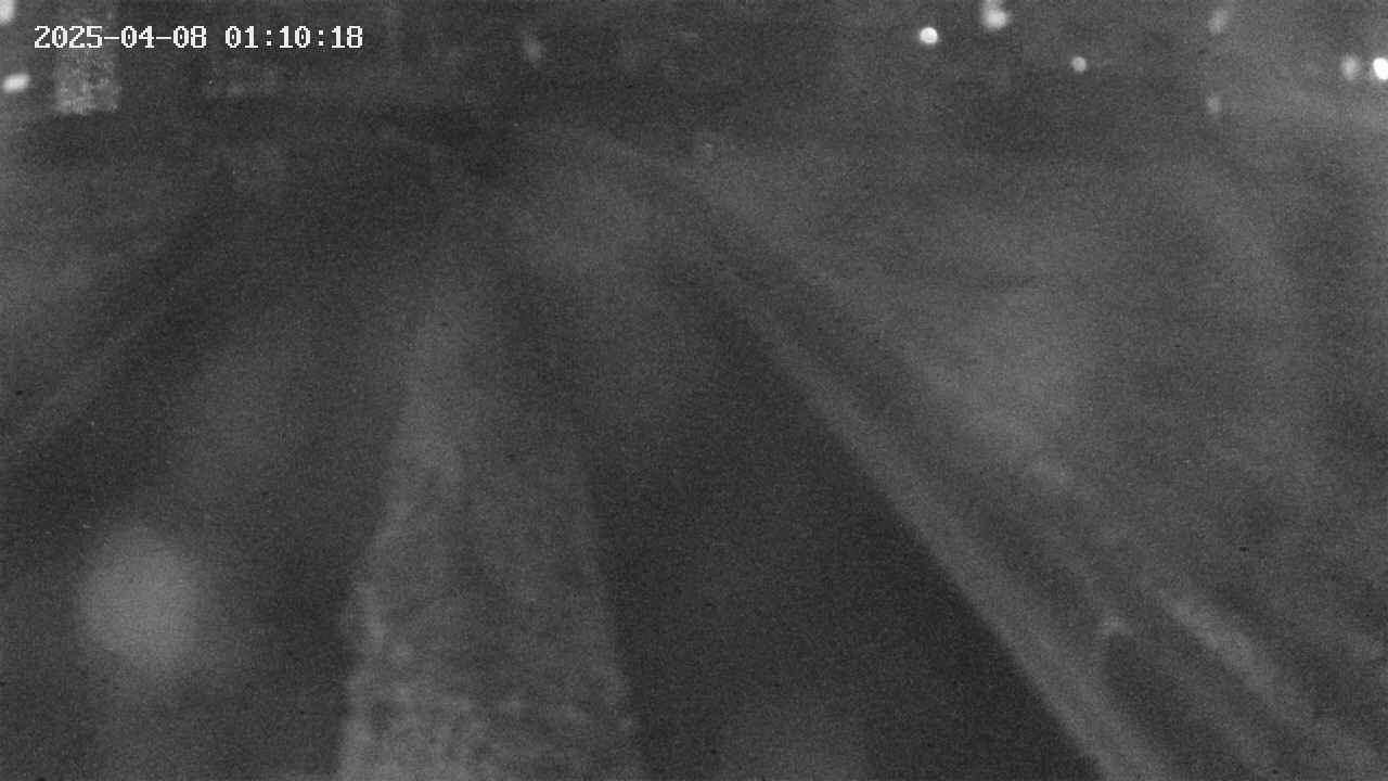 area9-20250408011019.jpg