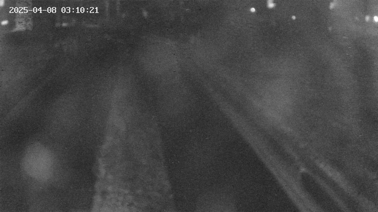 area9-20250408031022.jpg