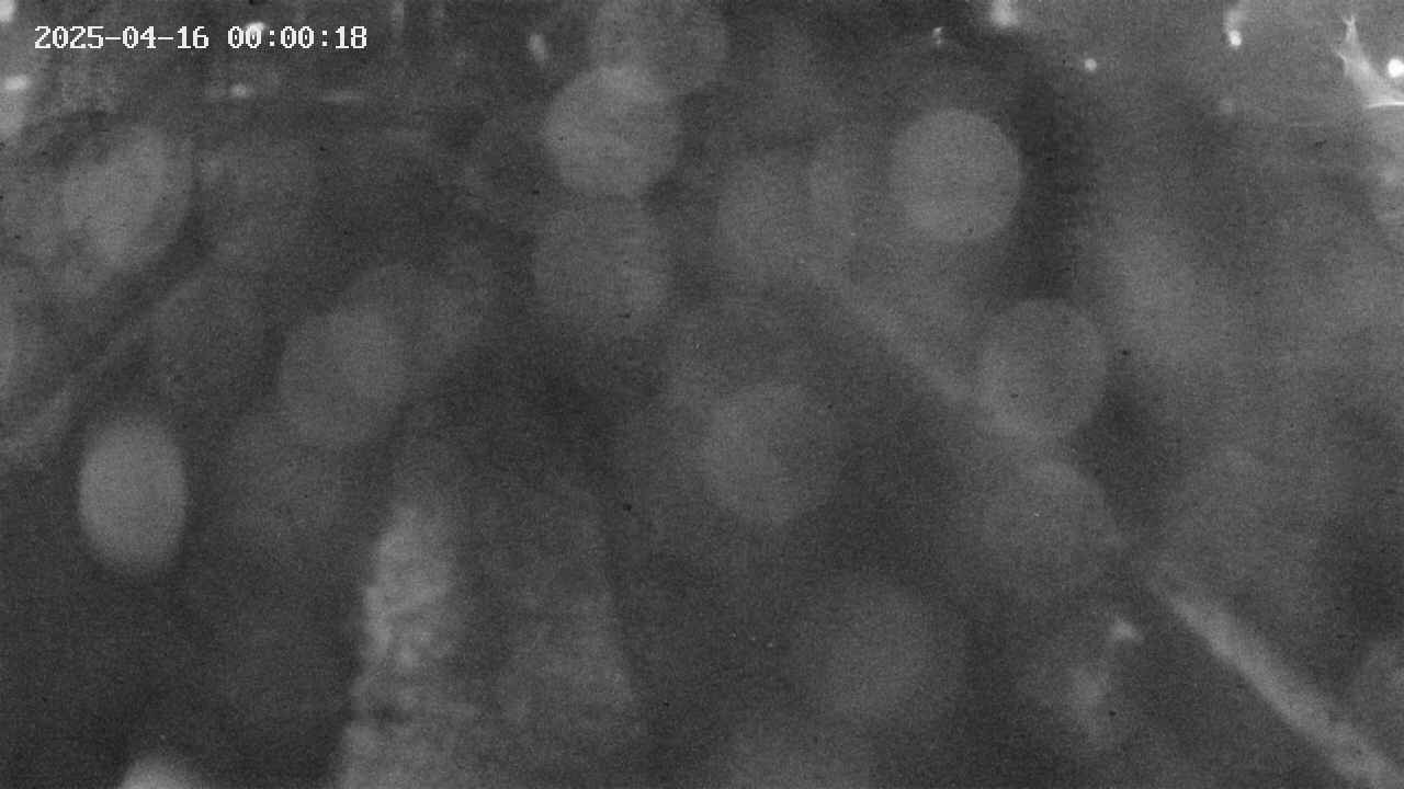 area9-20250416000019.jpg