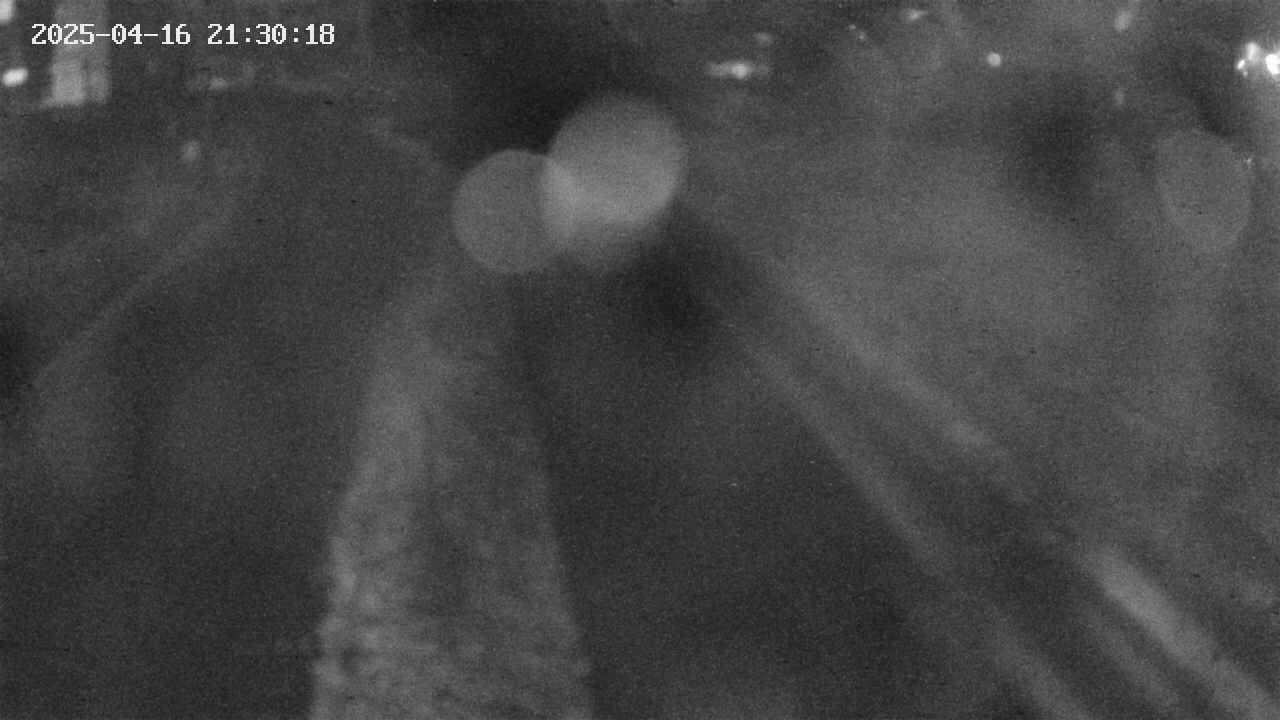 area9-20250416213018.jpg
