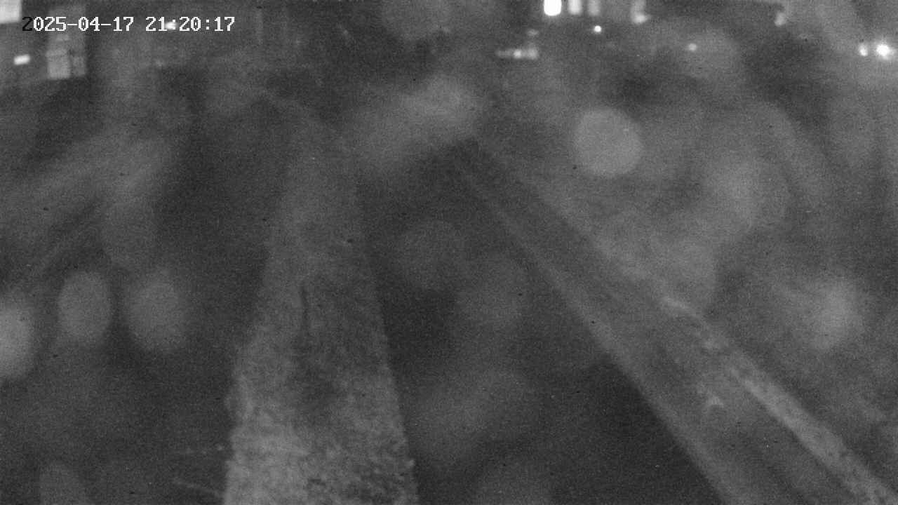 area9-20250417212018.jpg