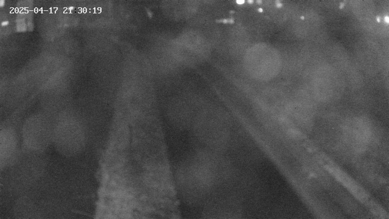 area9-20250417213020.jpg