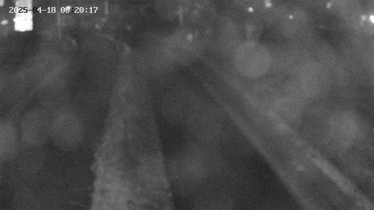 area9-20250418002017.jpg