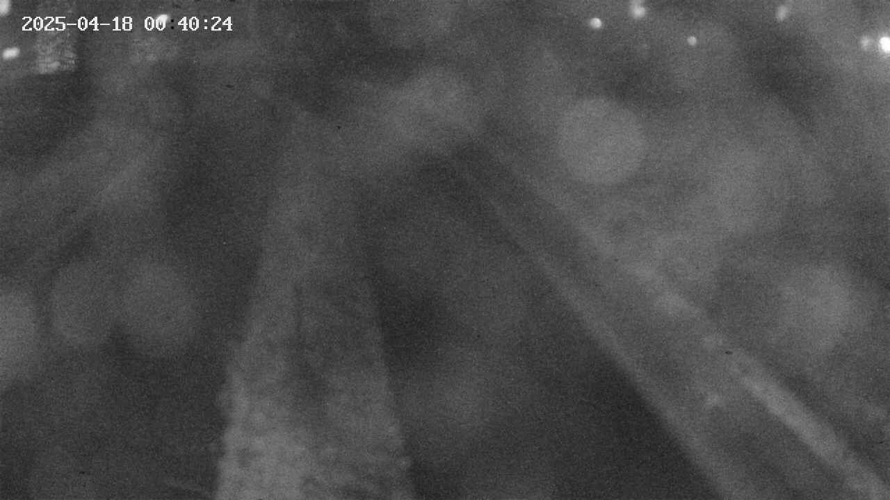 area9-20250418004024.jpg
