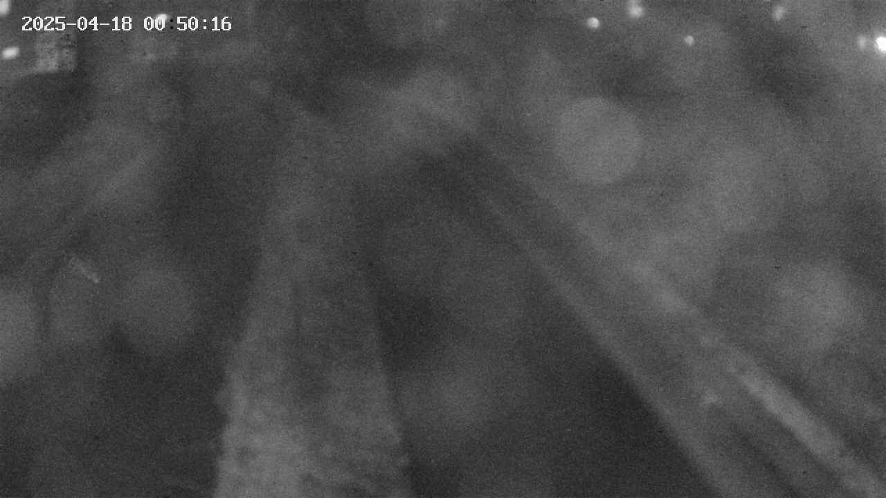 area9-20250418005017.jpg