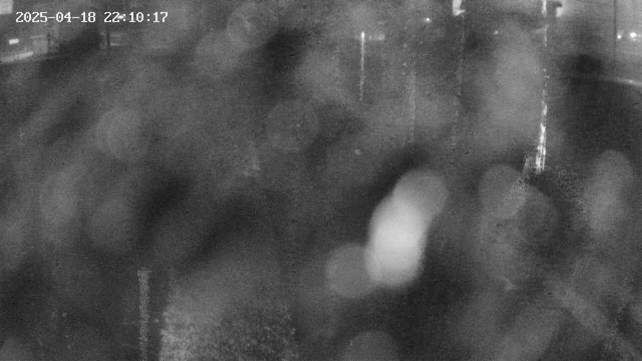 area9-20250418221018.jpg