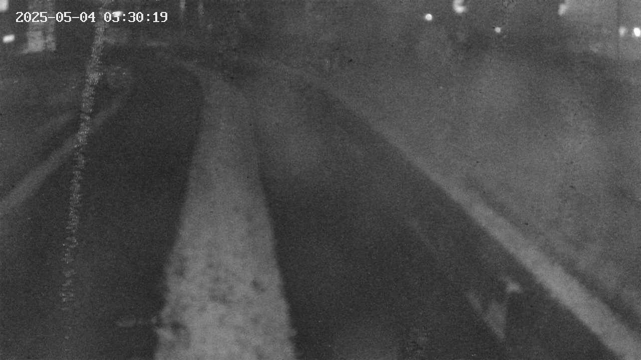 area9-20250504033020.jpg