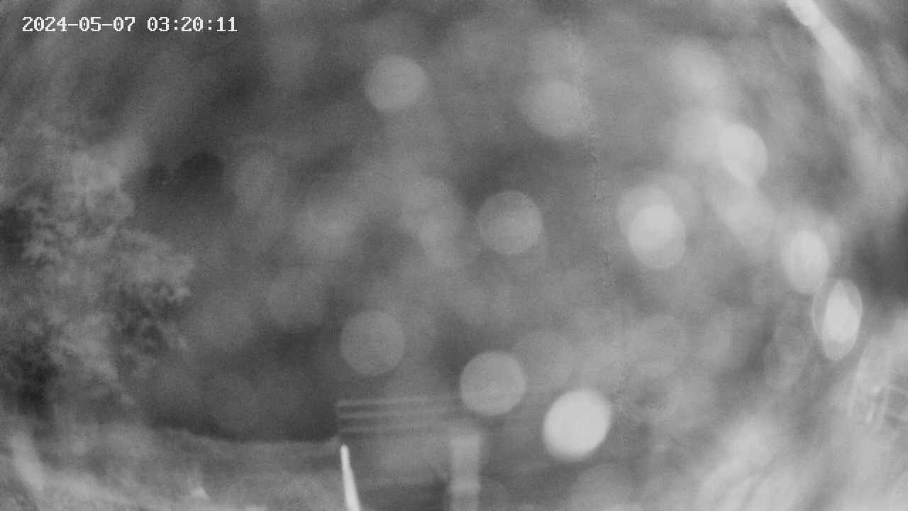 oomori1-20240507032013.jpg