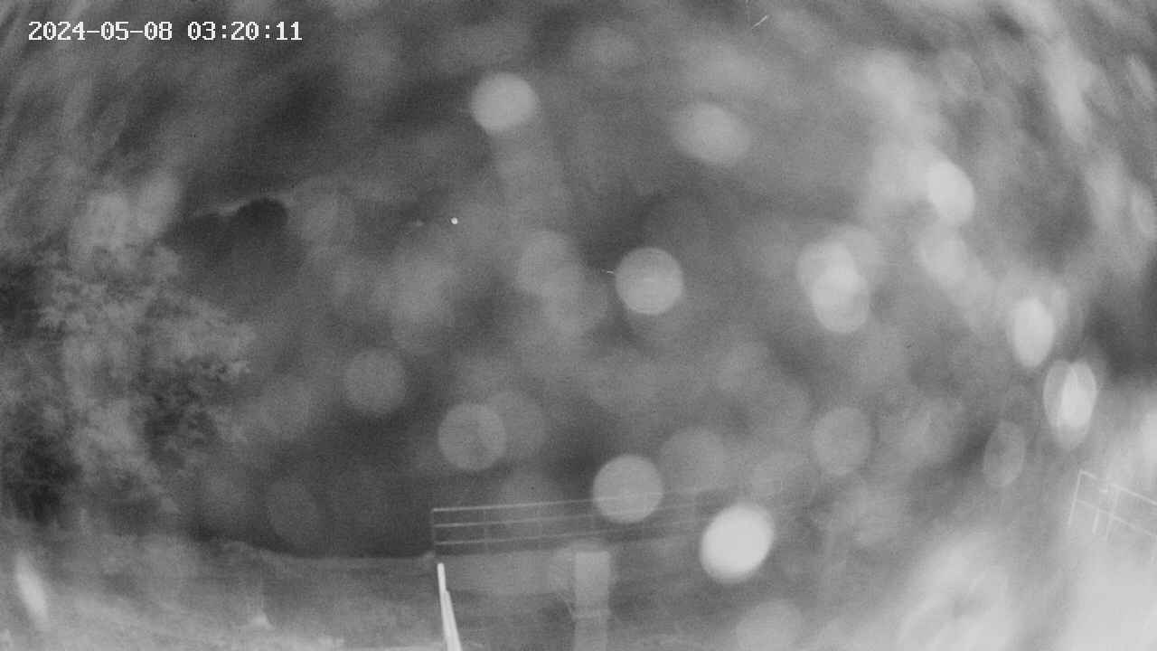oomori1-20240508032013.jpg