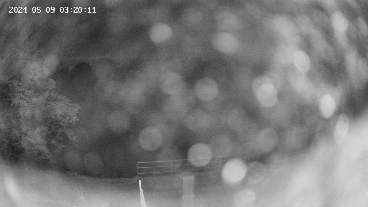 oomori1-20240509032013.jpg