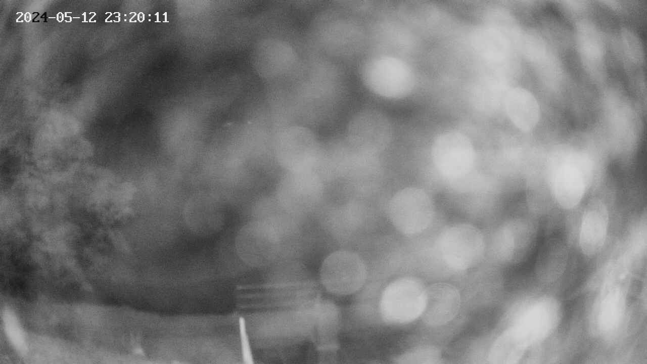 oomori1-20240512232012.jpg
