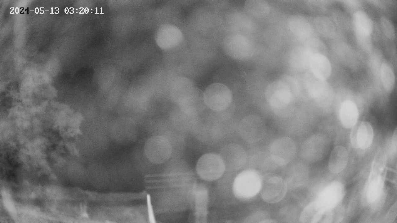 oomori1-20240513032012.jpg