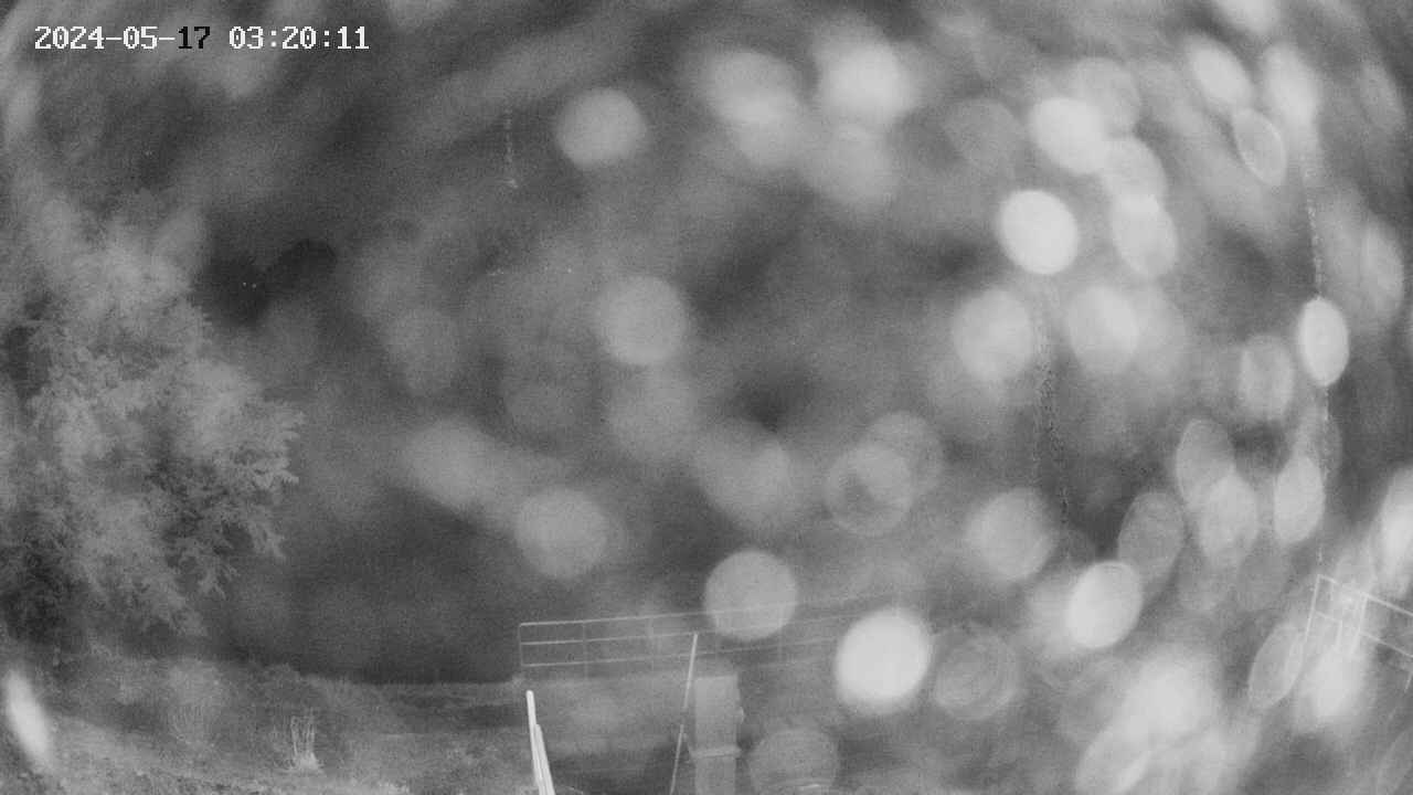 oomori1-20240517032012.jpg