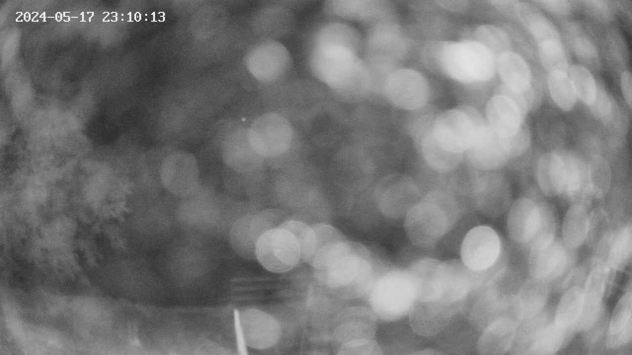 oomori1-20240517231013.jpg