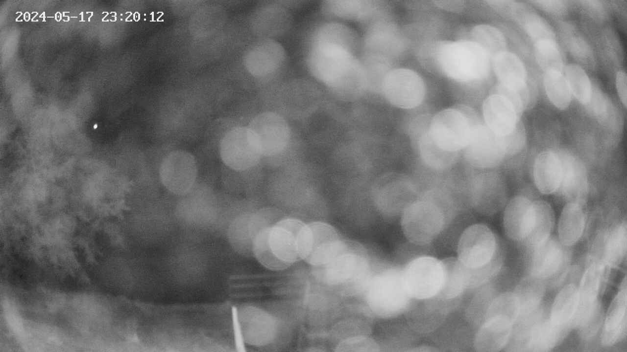 oomori1-20240517232012.jpg
