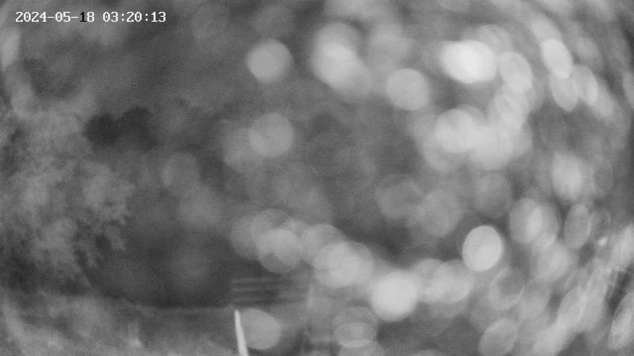 oomori1-20240518032014.jpg