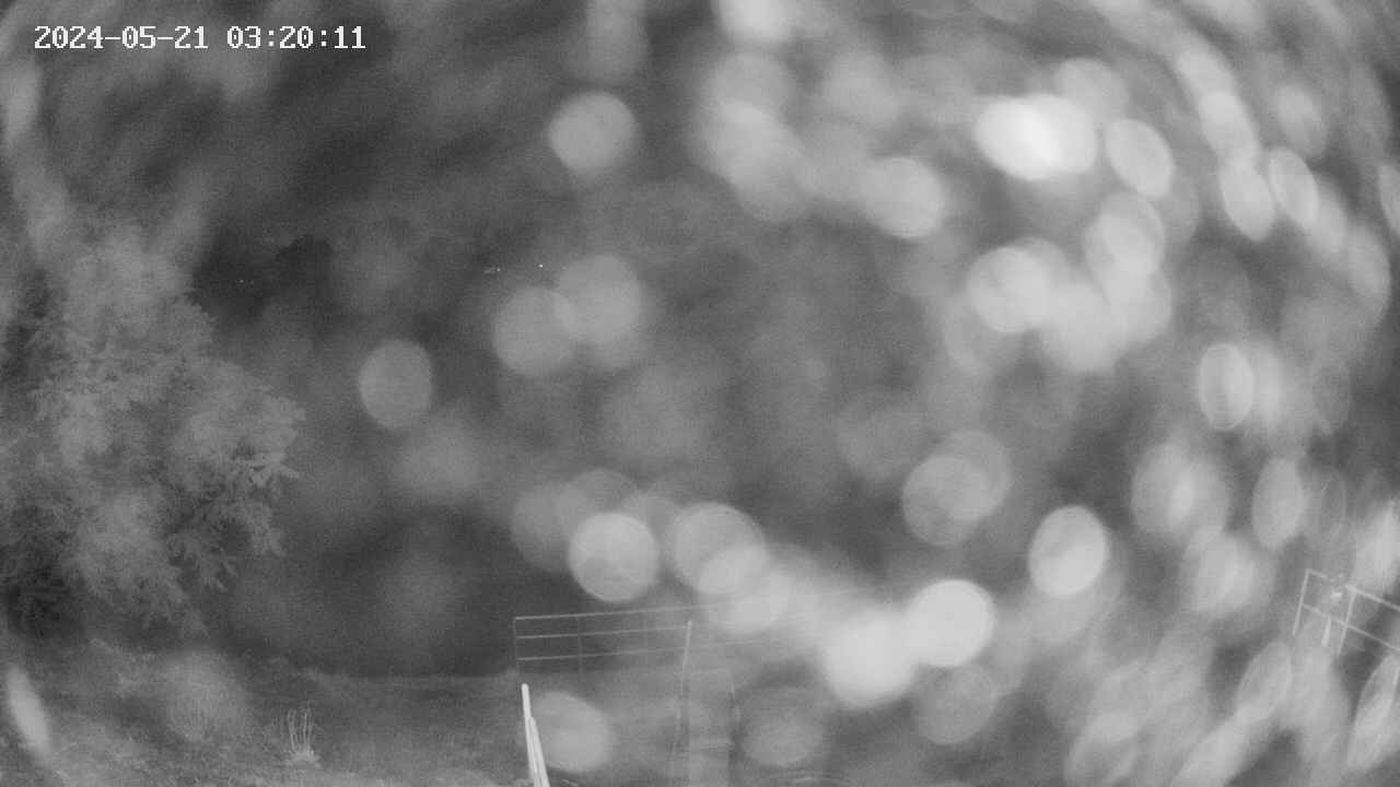 oomori1-20240521032012.jpg