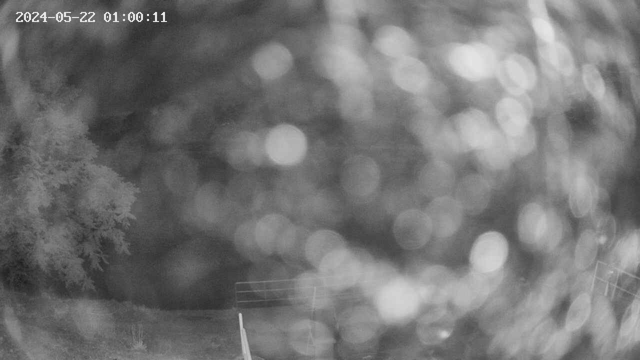 oomori1-20240522010012.jpg