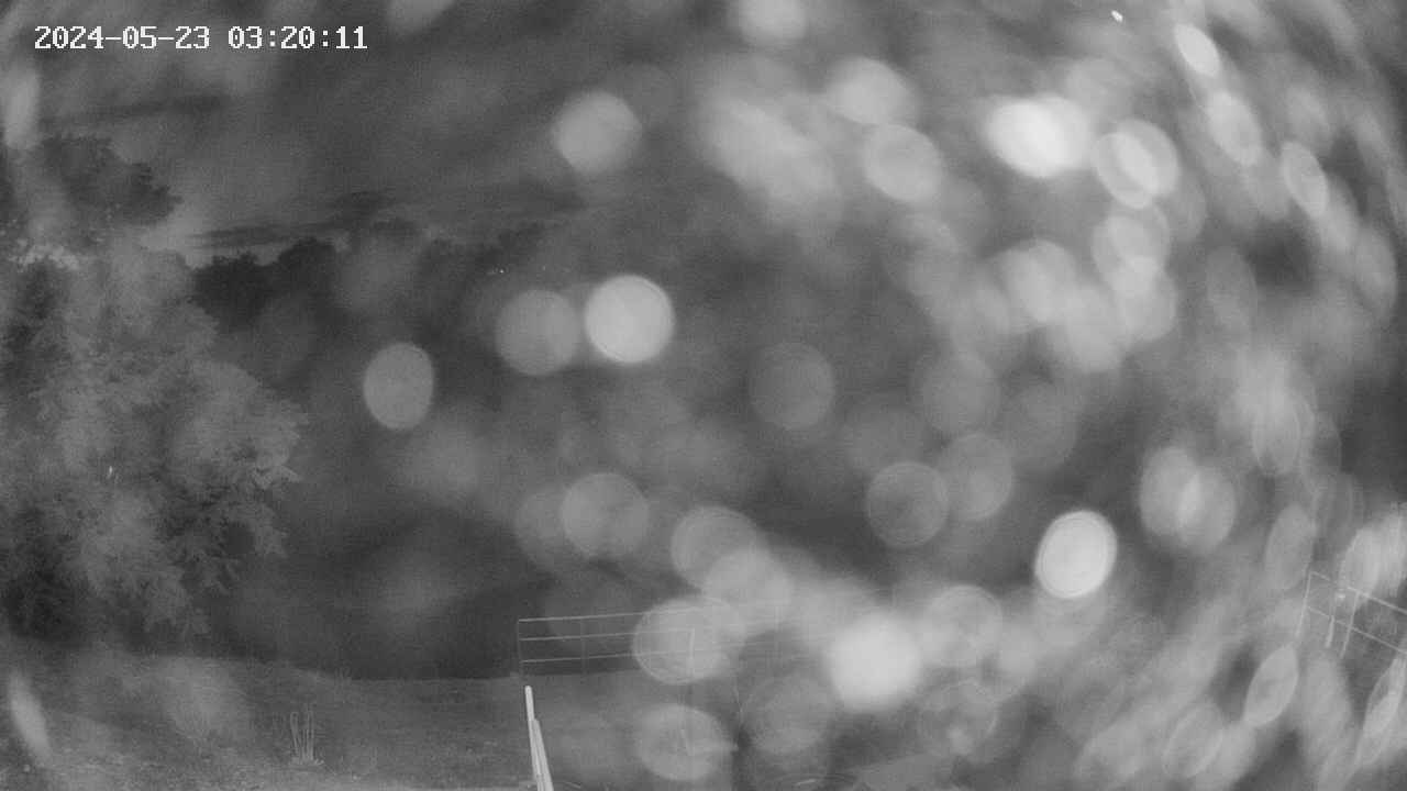 oomori1-20240523032012.jpg