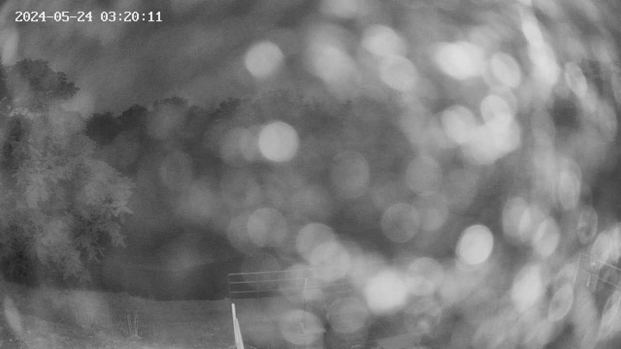 oomori1-20240524032012.jpg