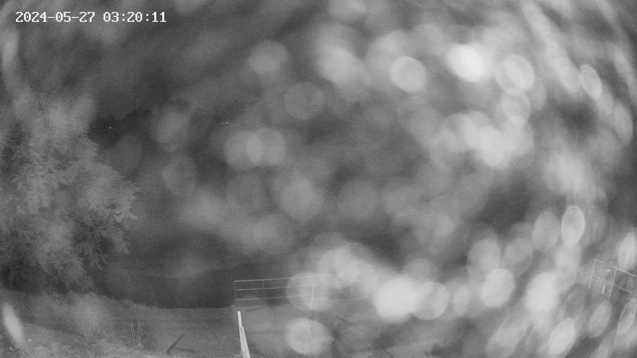 oomori1-20240527032012.jpg