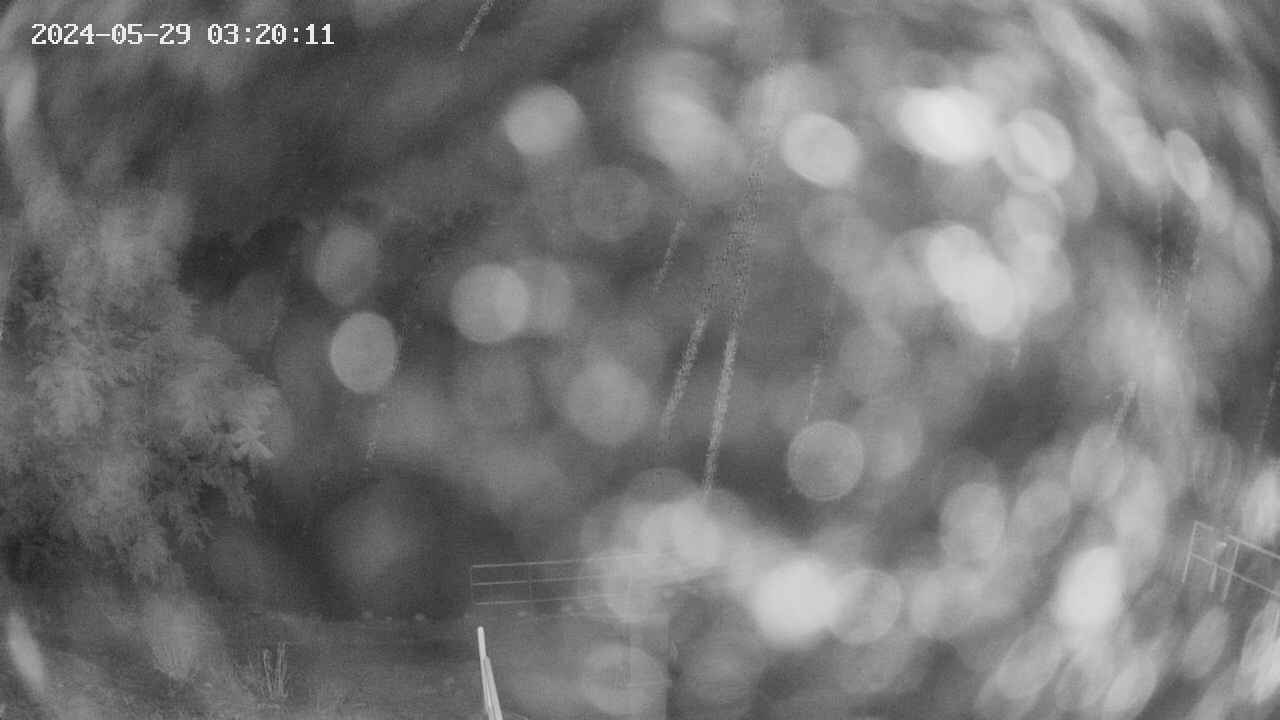 oomori1-20240529032012.jpg