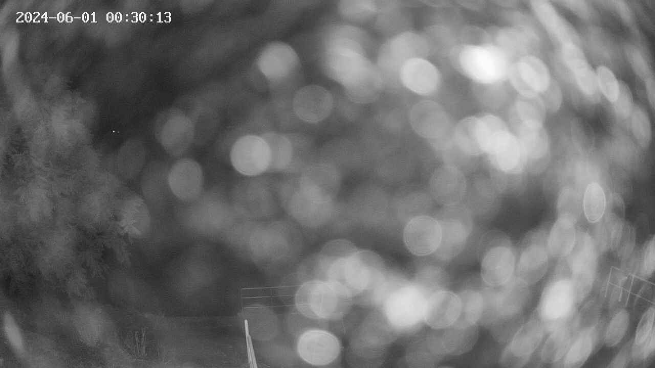 oomori1-20240601003014.jpg