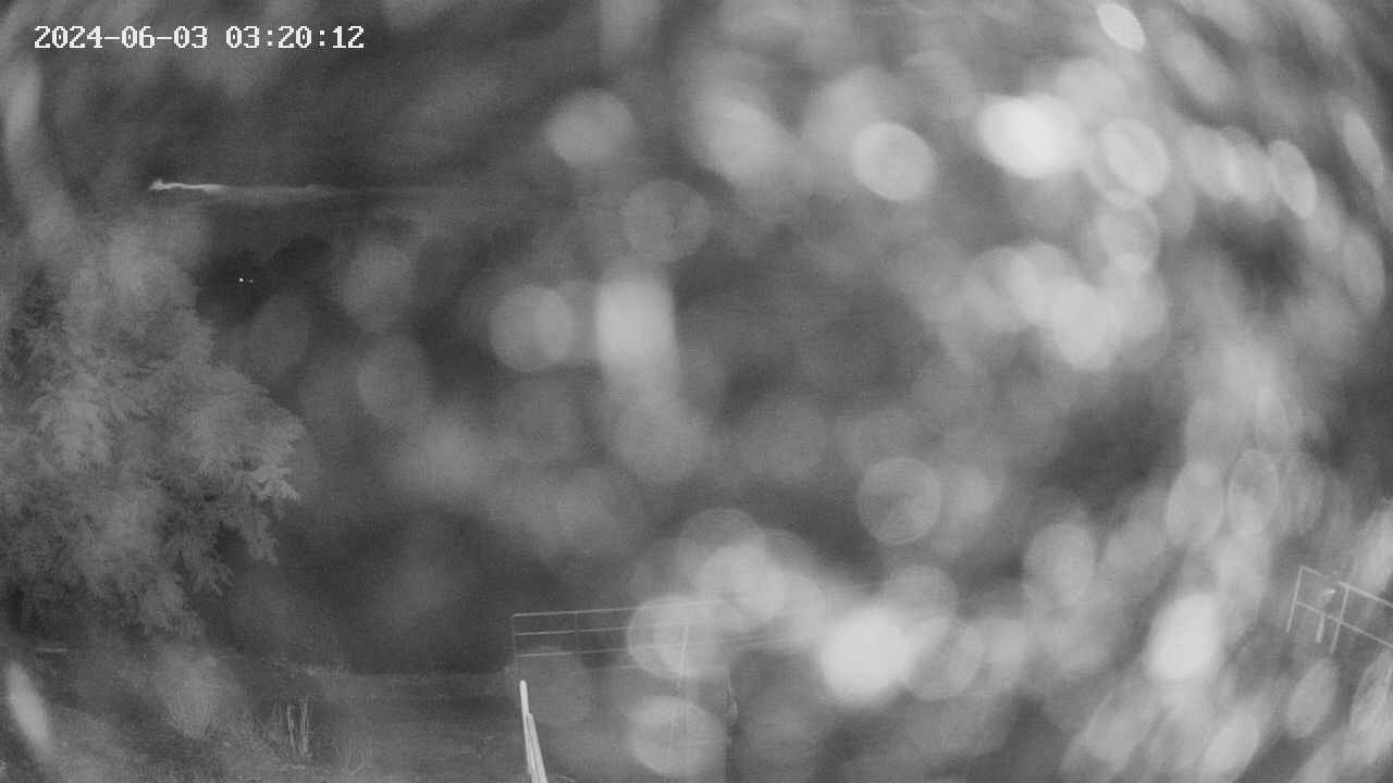 oomori1-20240603032013.jpg