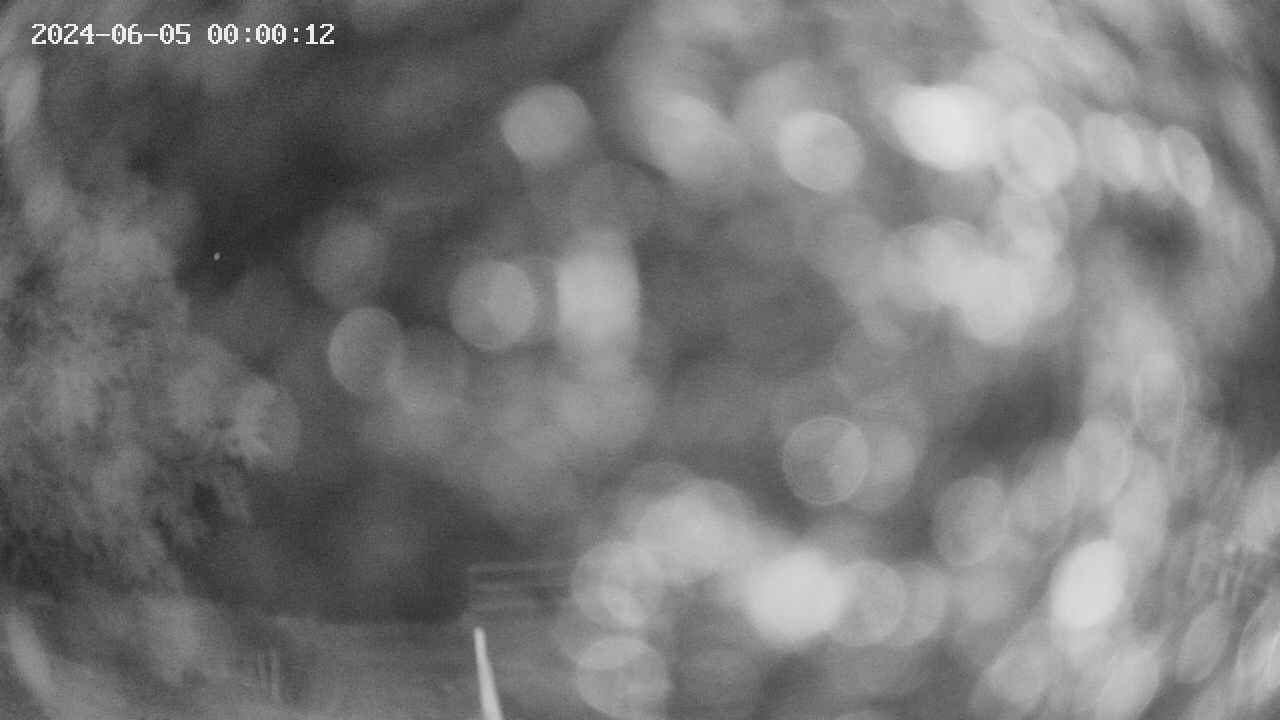 oomori1-20240605000013.jpg