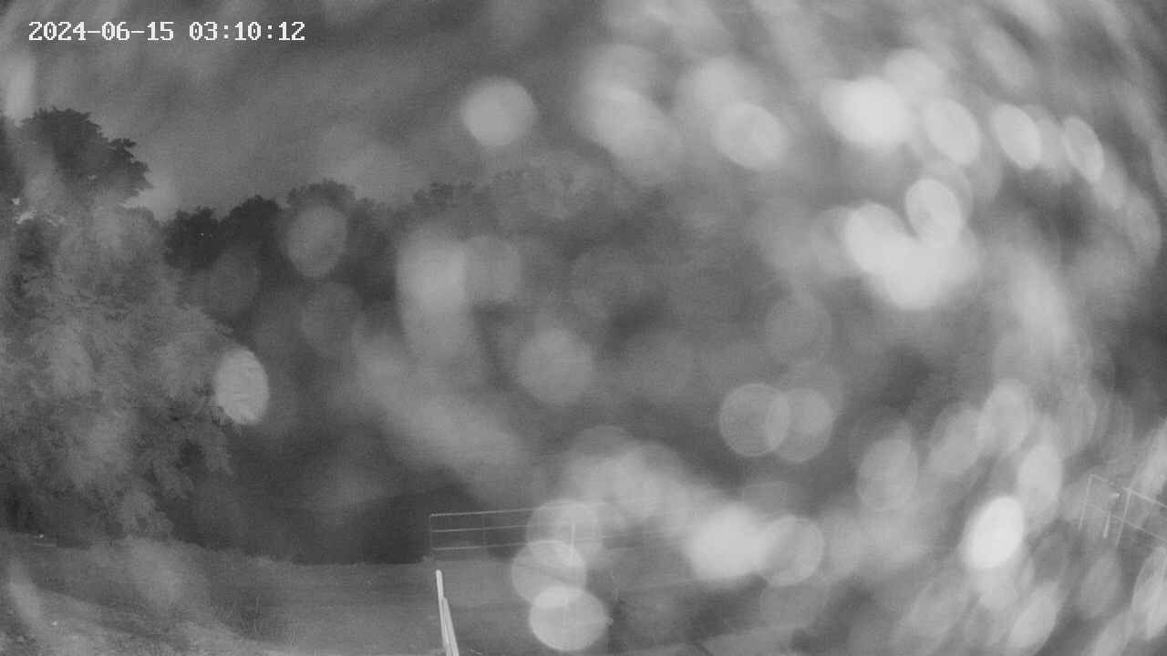 oomori1-20240615031013.jpg