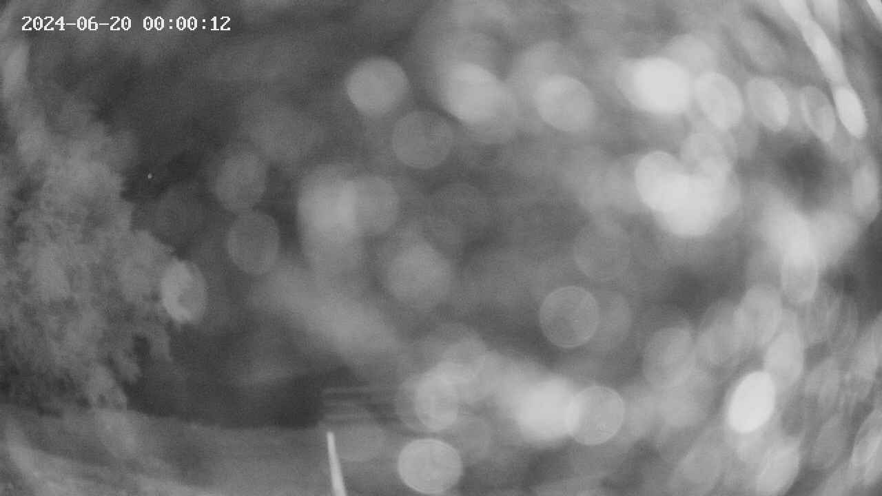 oomori1-20240620000013.jpg