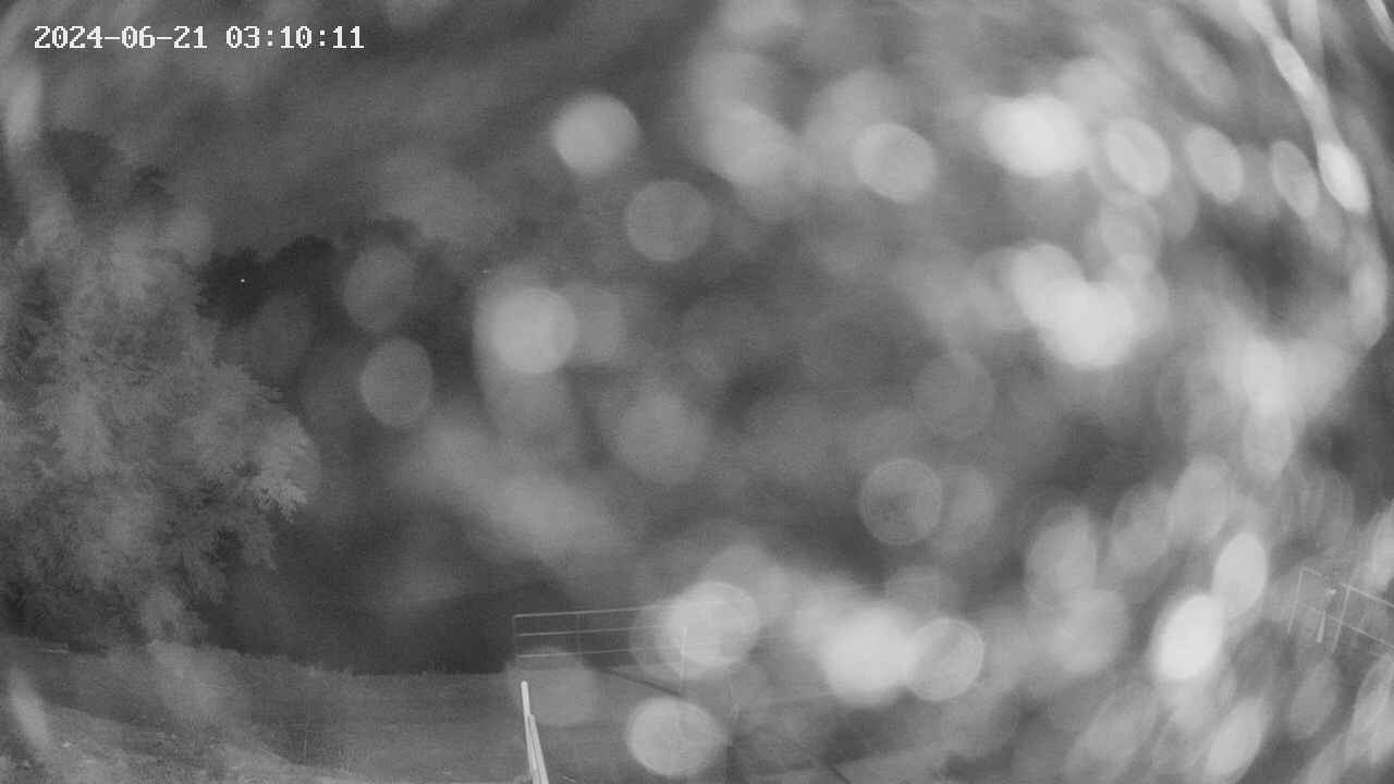 oomori1-20240621031011.jpg