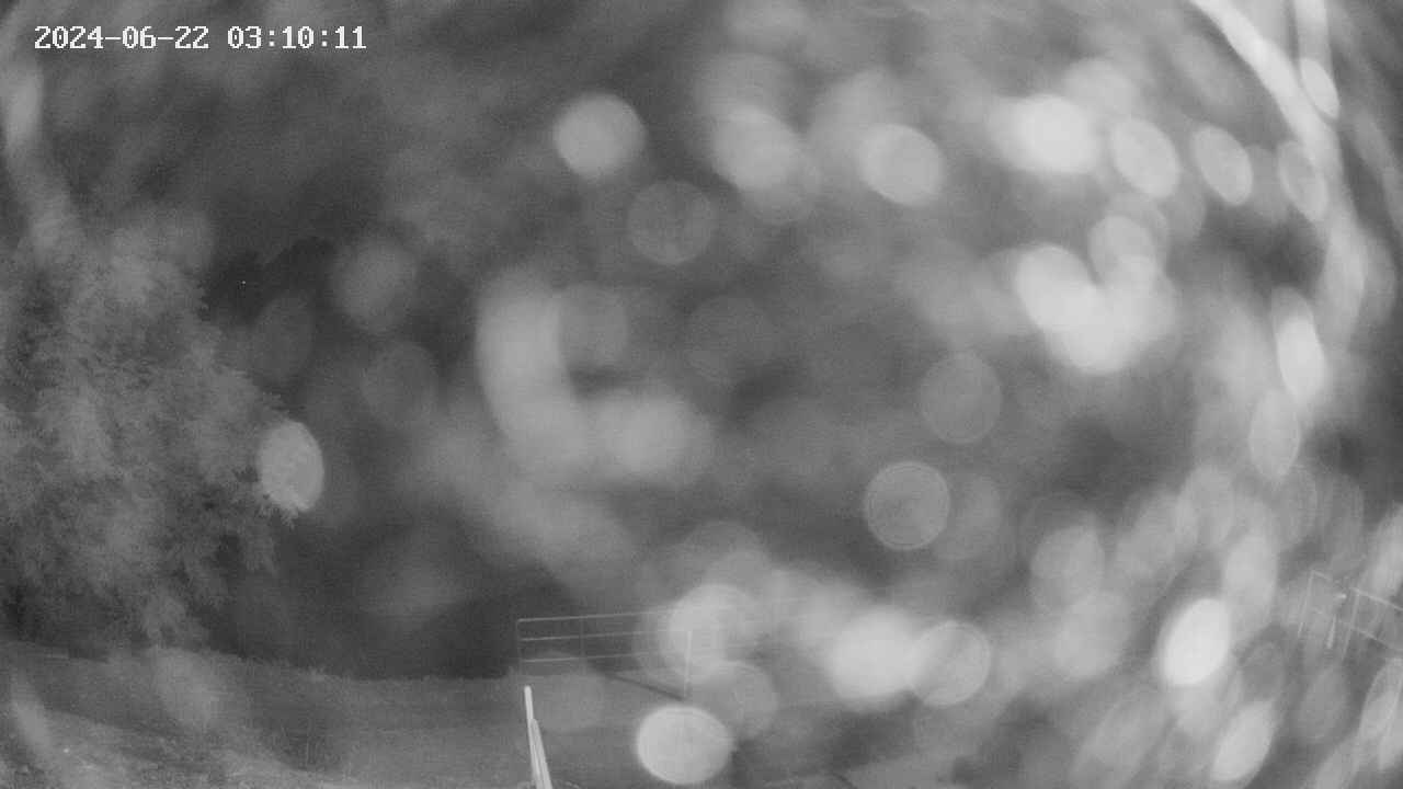 oomori1-20240622031012.jpg
