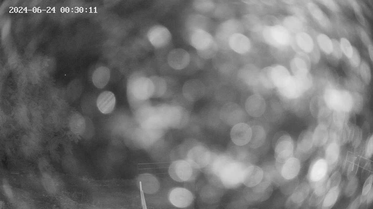 oomori1-20240624003012.jpg