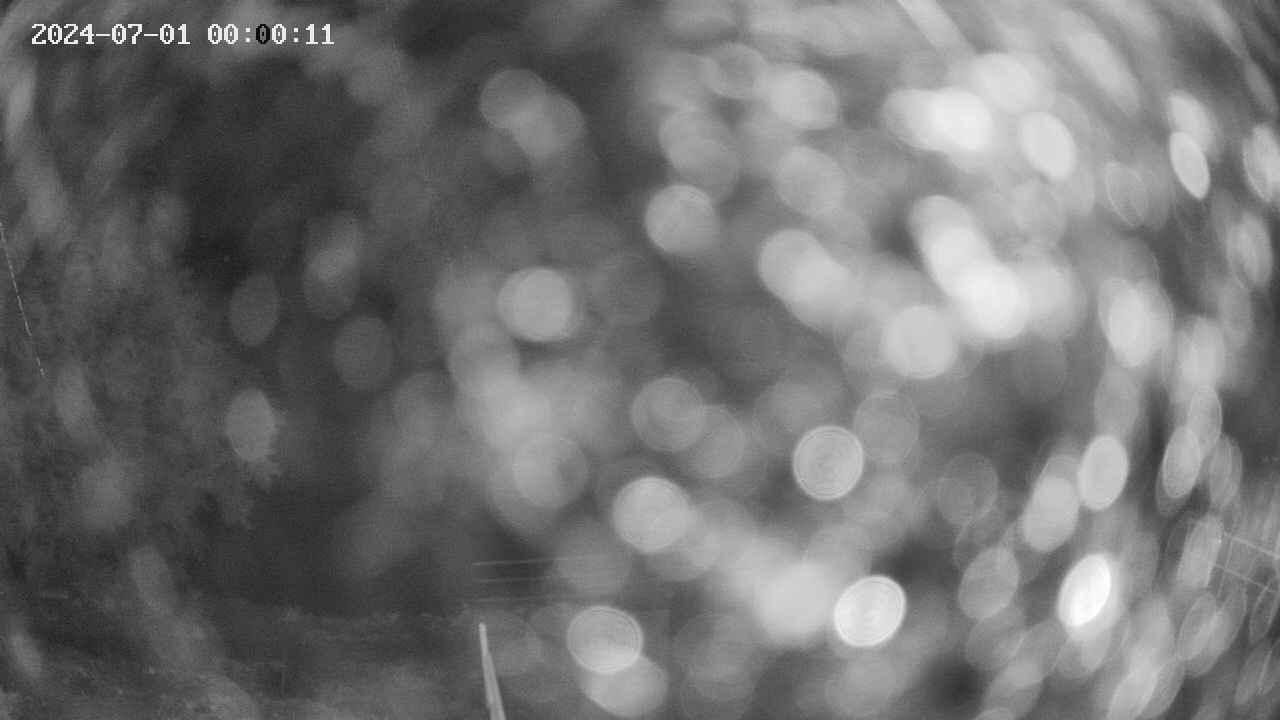 oomori1-20240701000012.jpg