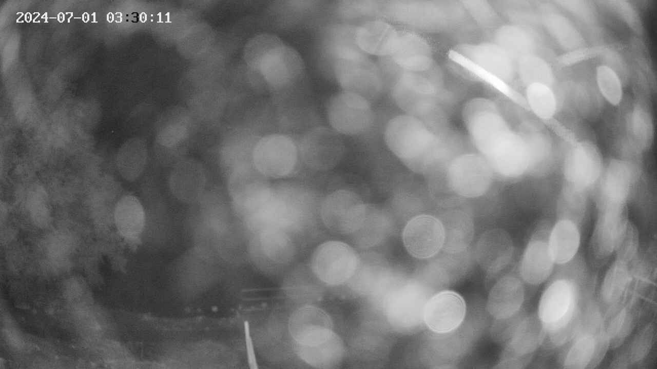 oomori1-20240701033013.jpg