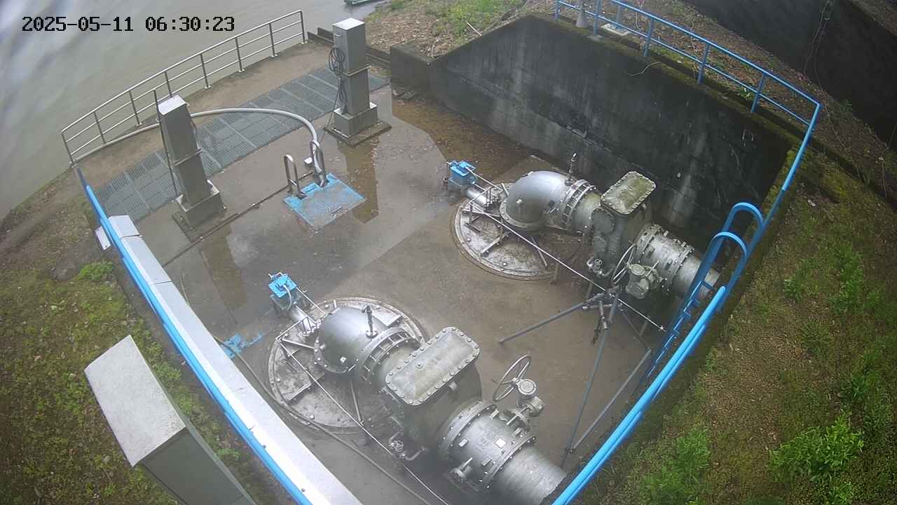 oomori2-20250511063025.jpg
