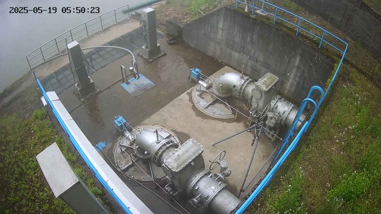 oomori2-20250519055024.jpg