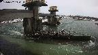 yamashirozeki1-20240202144115.jpg