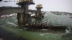 yamashirozeki1-20240202155116.jpg