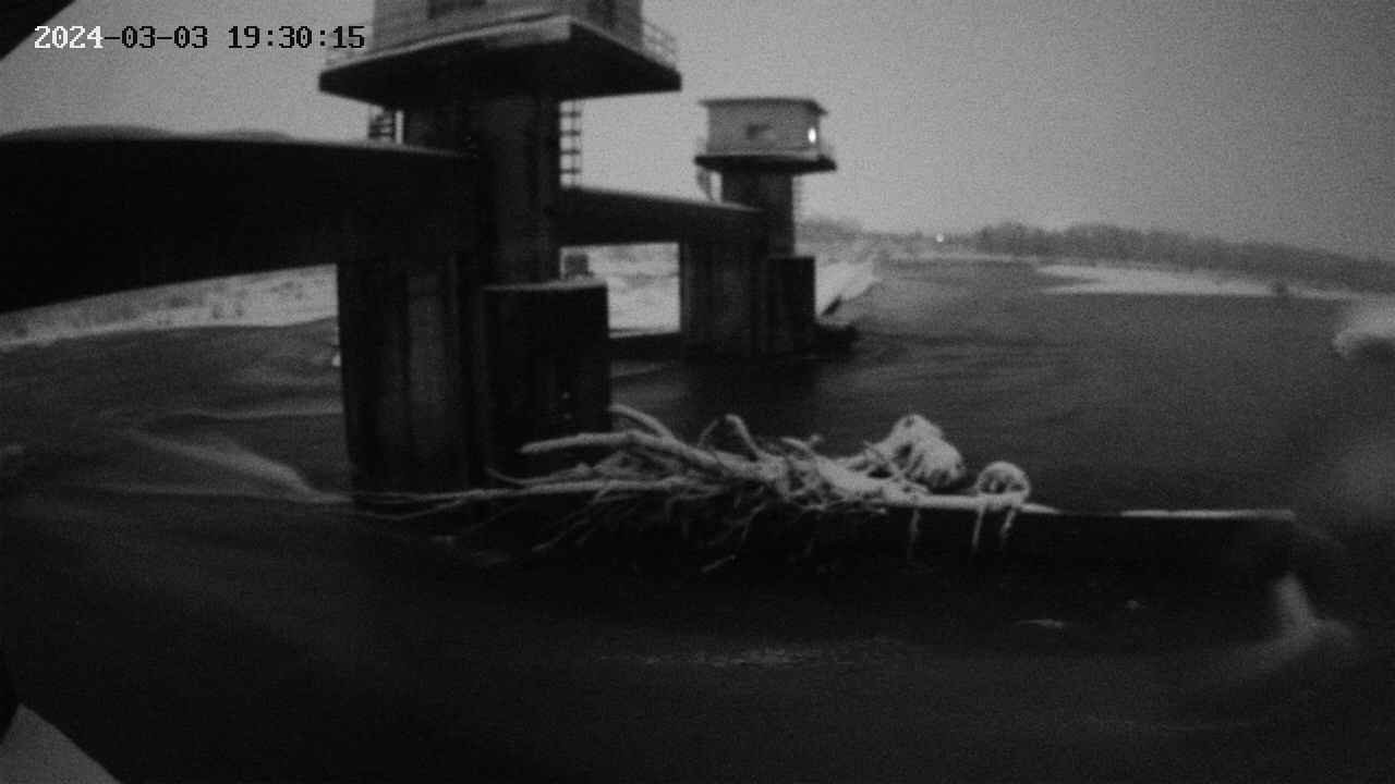 yamashirozeki1-20240303193015.jpg