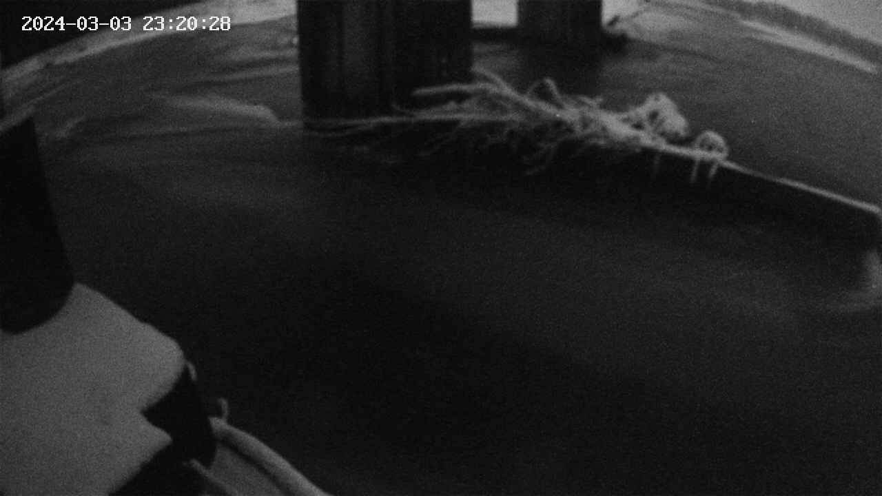 yamashirozeki2-20240303232029.jpg