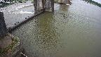 yamashirozeki2-20240707145029.jpg