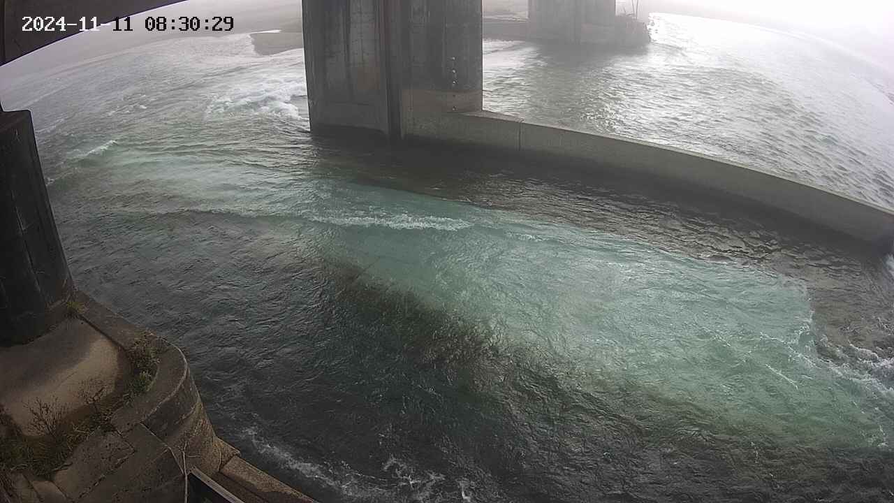 yamashirozeki2-20241111083030.jpg