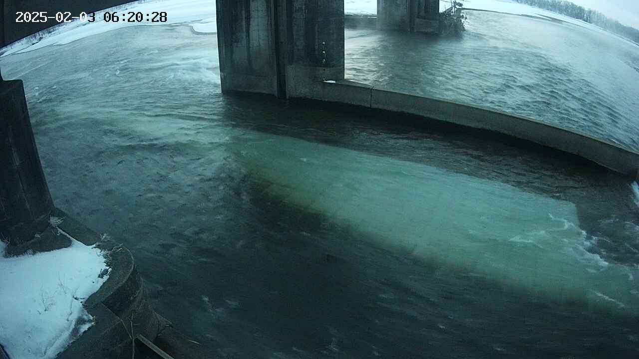 yamashirozeki2-20250203062029.jpg
