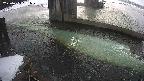 yamashirozeki2-20250203081030.jpg
