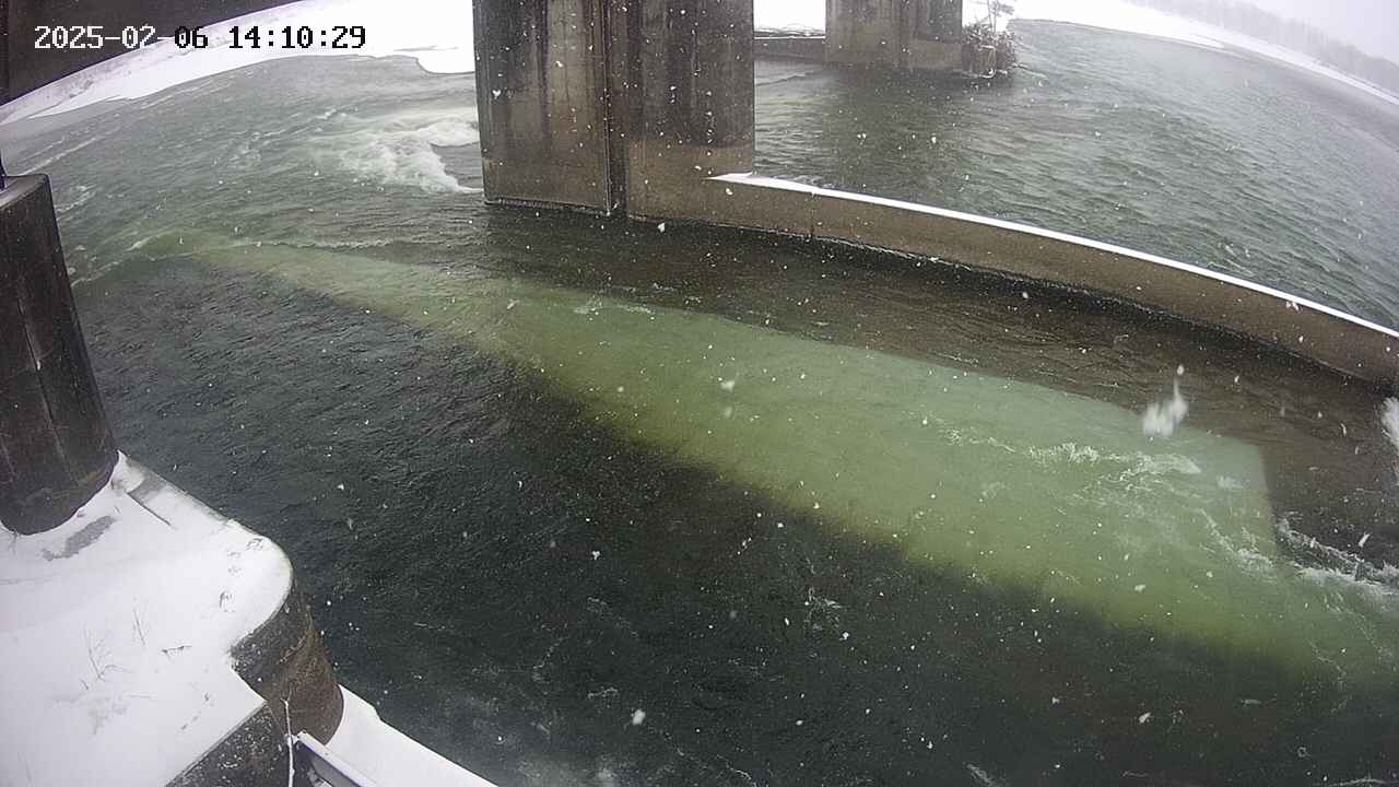 yamashirozeki2-20250206141030.jpg