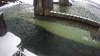 yamashirozeki2-20250224072030.jpg