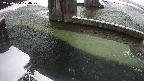 yamashirozeki2-20250224074028.jpg